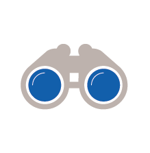 vis1